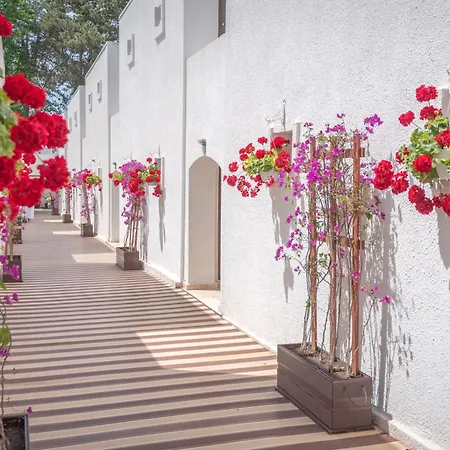 Mera Resort 4*